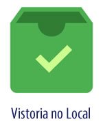 Vistoria no Local Vistoria no Local